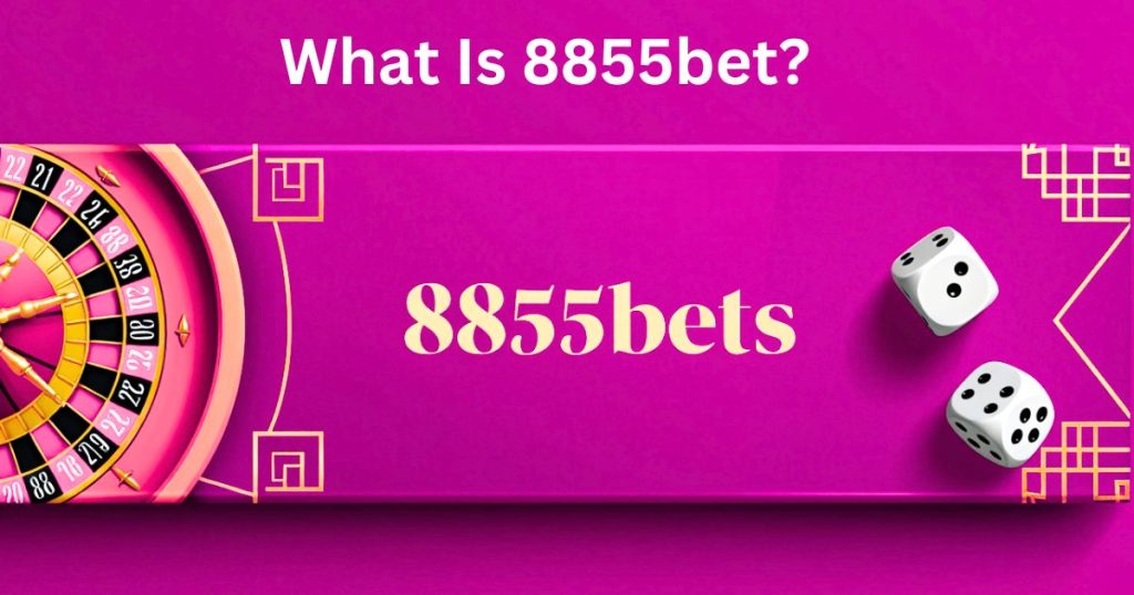 What Is 8855bet